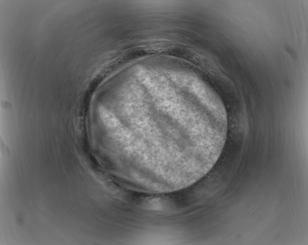 X0000090630755200708071245