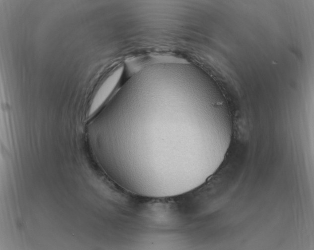 X0000090630756200708071245