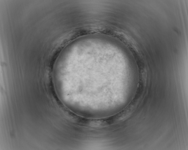 X0000090630757200708071245