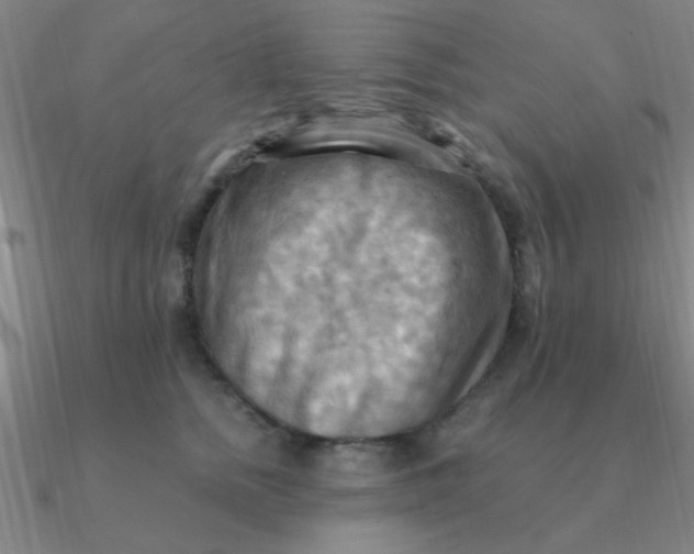 X0000090630758200708071245