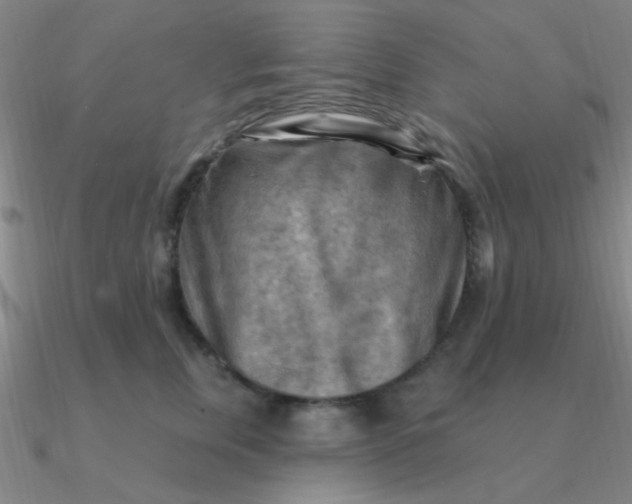 X0000090630759200708071245