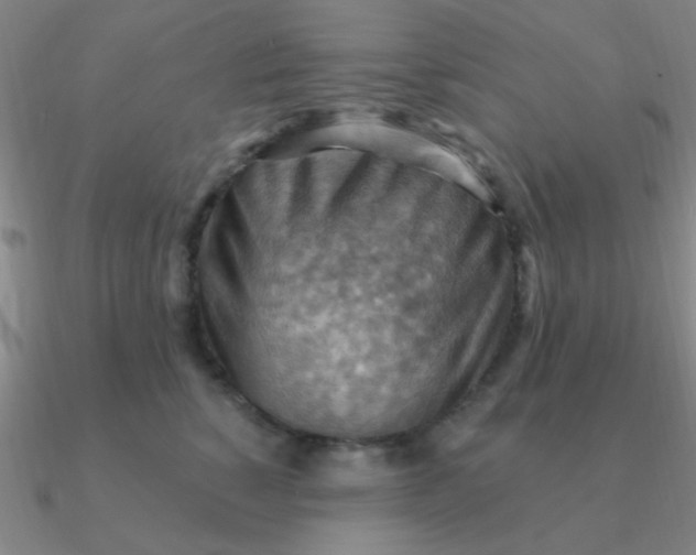 X0000090630760200708071245