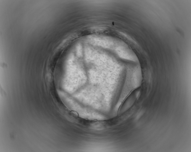 X0000090630761200708071245