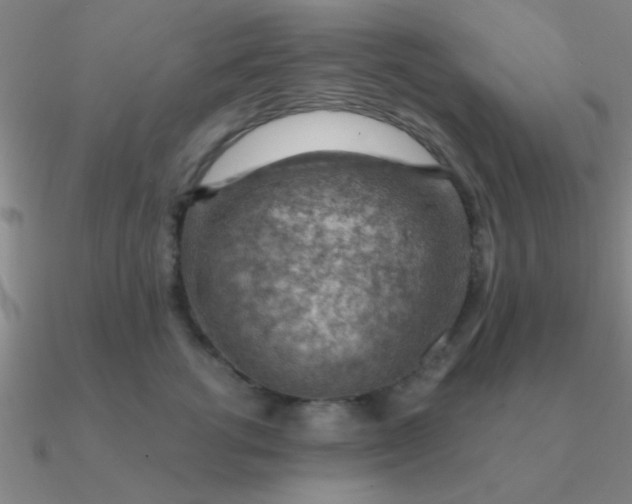 X0000090630762200708071245