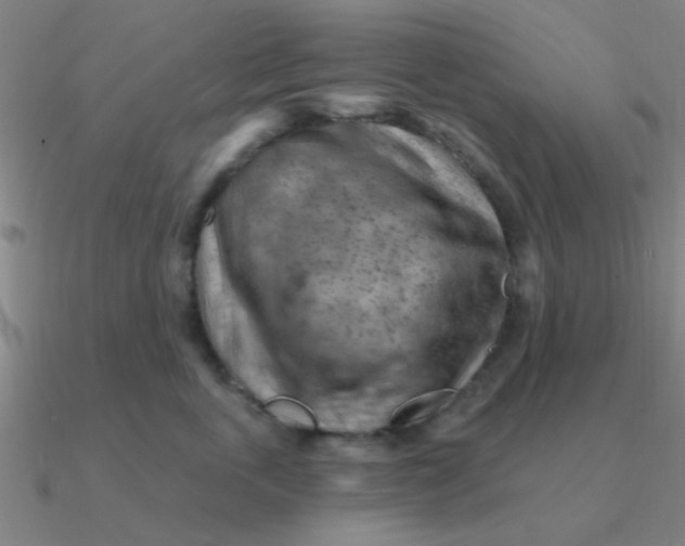 X0000090630763200708071245