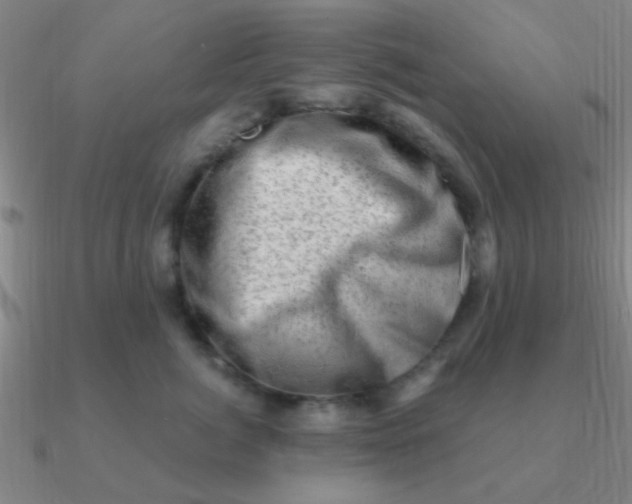 X0000090630764200708071245