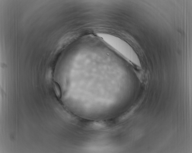 X0000090630765200708071245