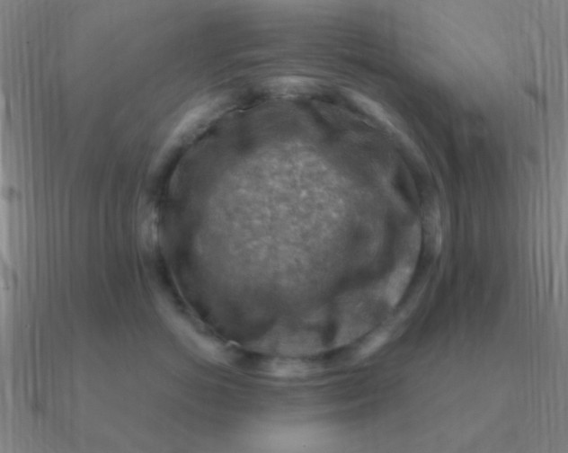 X0000090630766200708071246