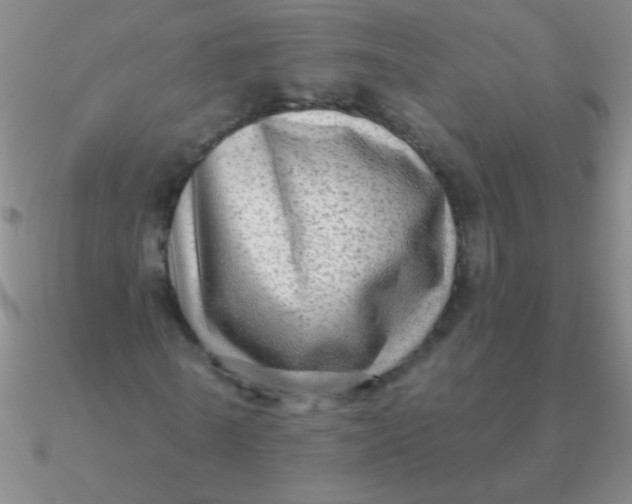 X0000090630770200708071245