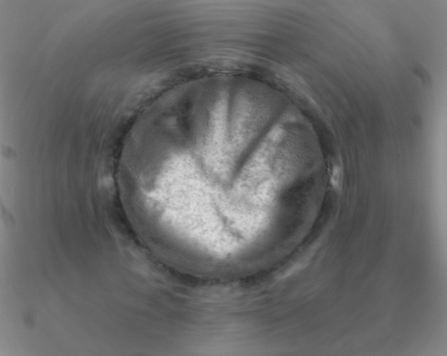 X0000090630771200708071245