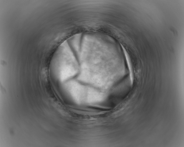 X0000090630772200708071245