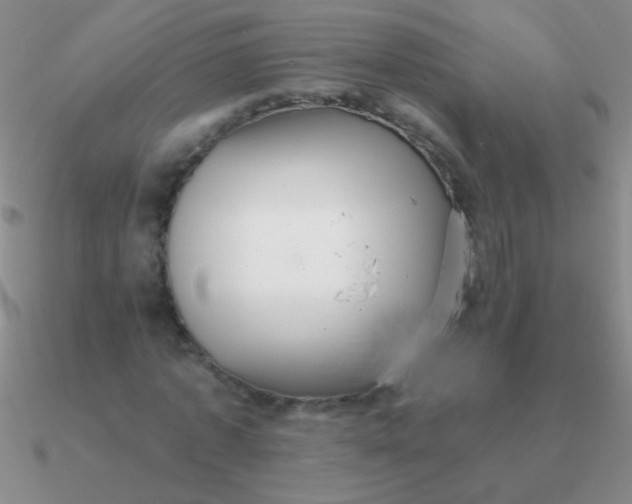 X0000090630773200708071245