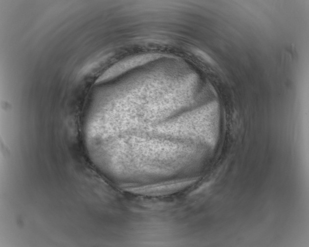 X0000090630774200708071245