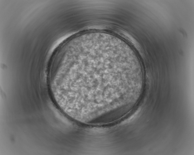 X0000090630779200708071245