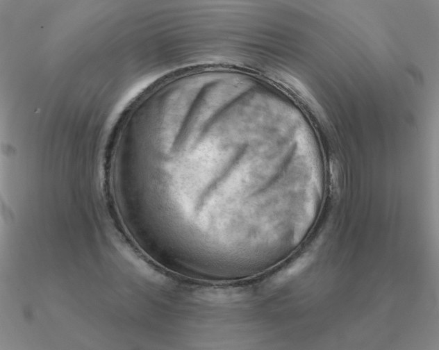 X0000090630780200708071245