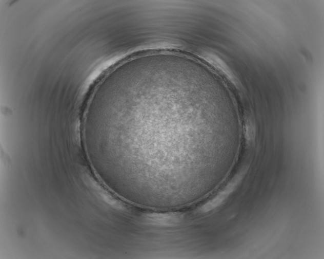 X0000090630781200708071245