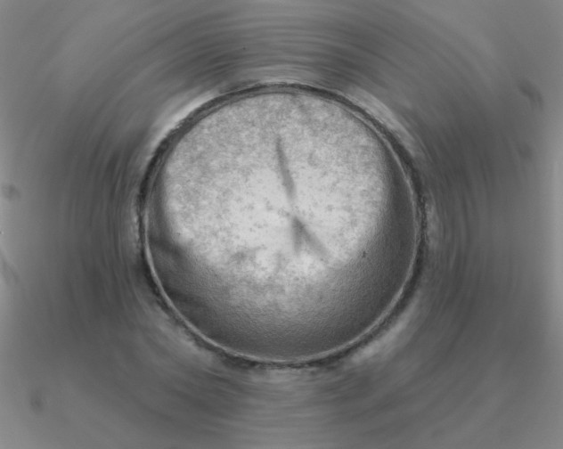 X0000090630782200708071245