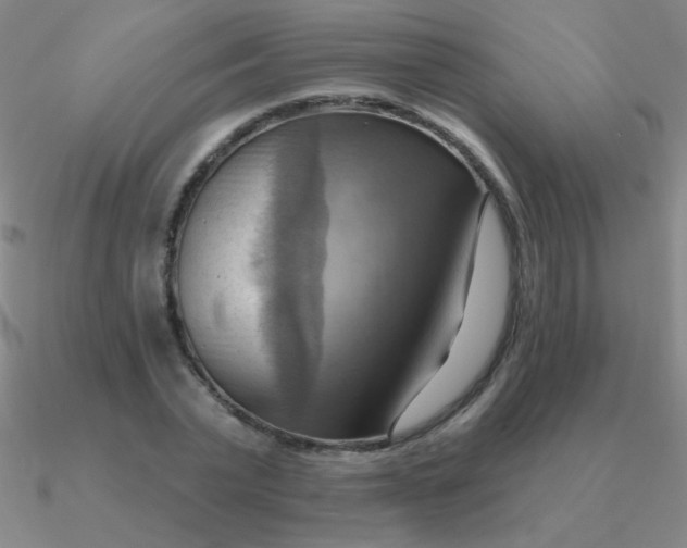 X0000090630783200708071245