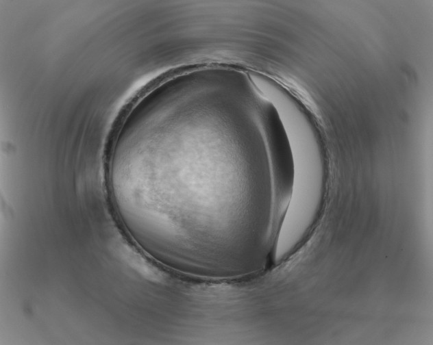 X0000090630784200708071245