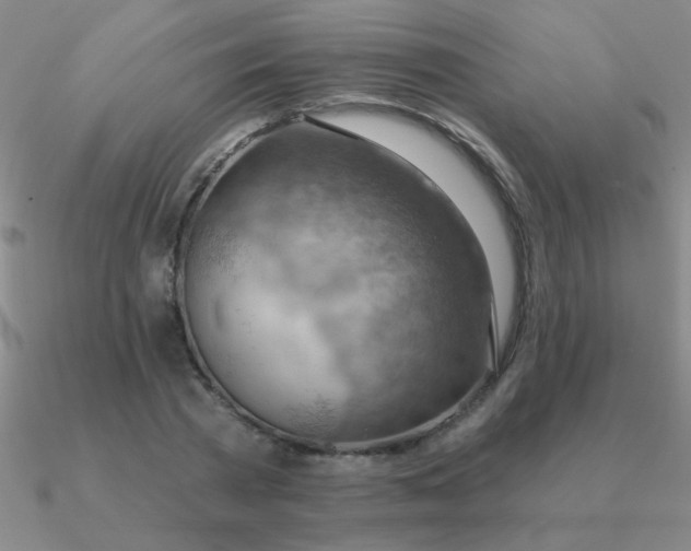 X0000090630785200708071245