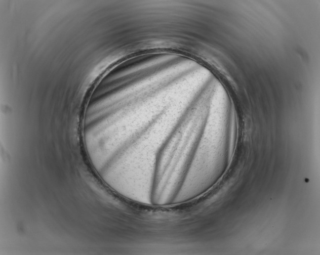 X0000090630786200708071245