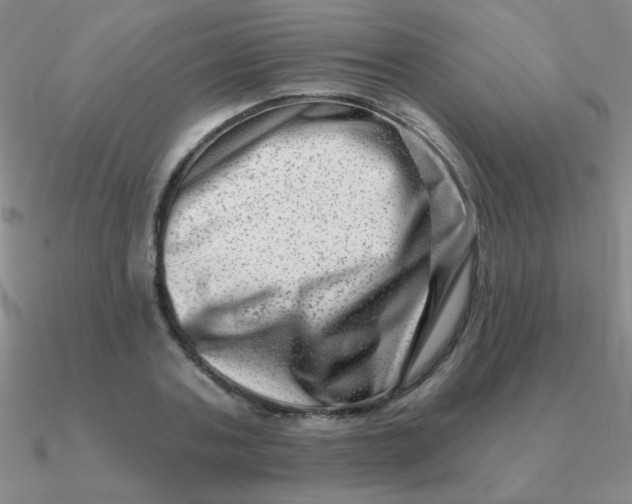 X0000090630787200708071245