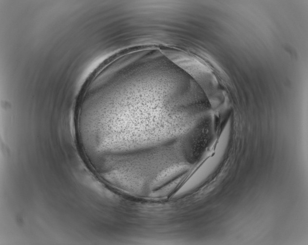 X0000090630788200708071245