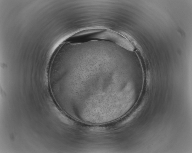 X0000090630789200708071245