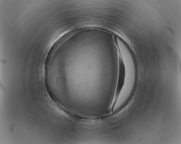 X0000090630790200708071245