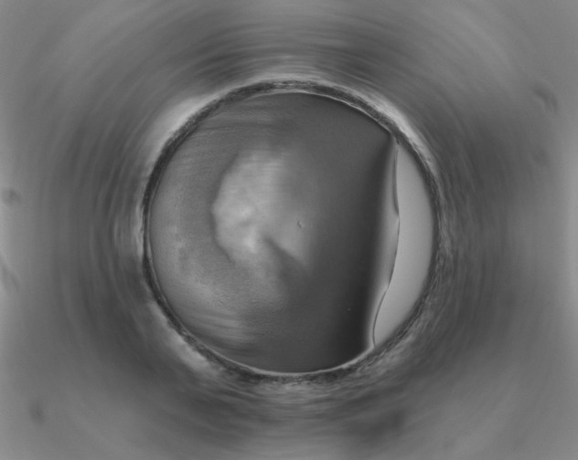 X0000090630791200708071245