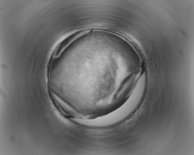 X0000090630792200708071245