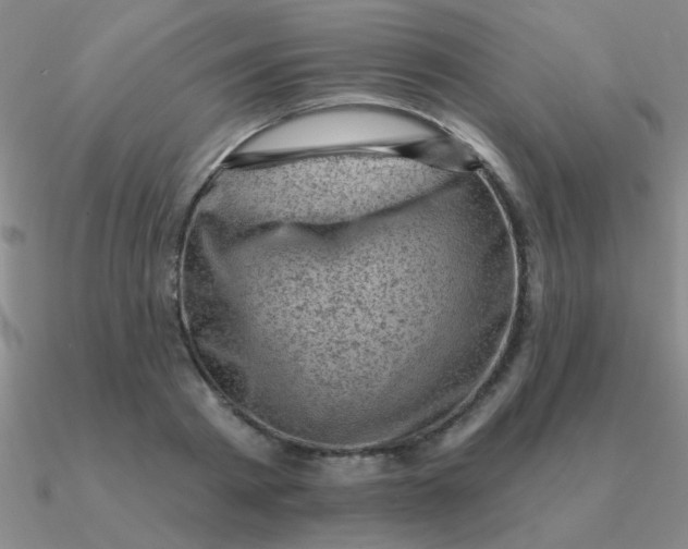 X0000090630793200708071245