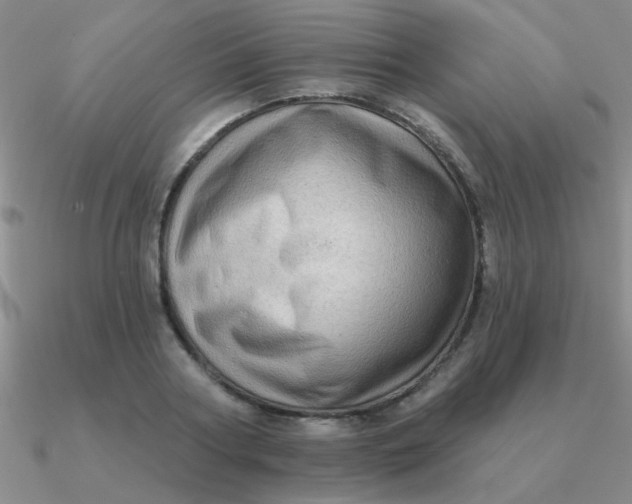 X0000090630794200708071245