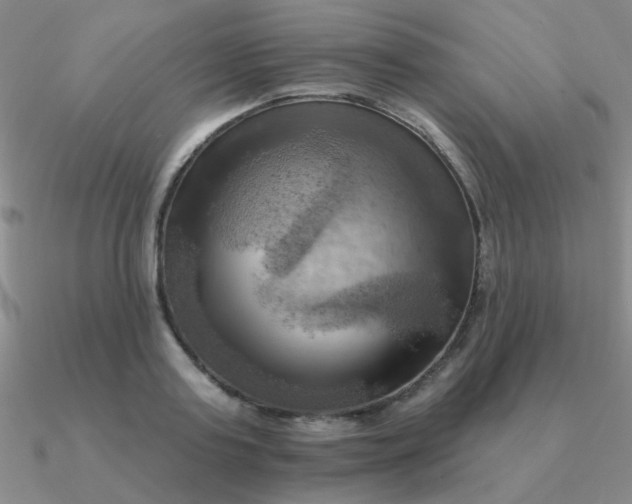 X0000090630795200708071245