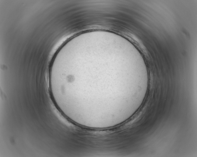 X0000090630796200708071245