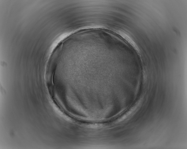 X0000090630797200708071245