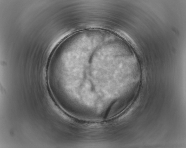 X0000090630798200708071245