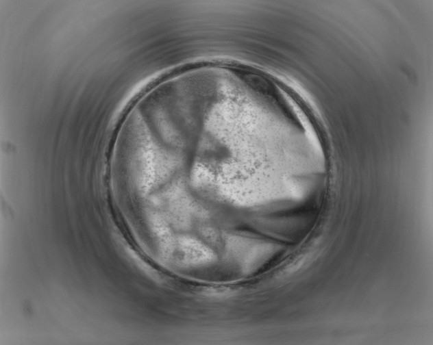 X0000090630799200708071245