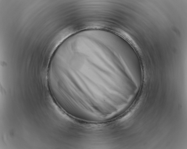 X0000090630802200708071244