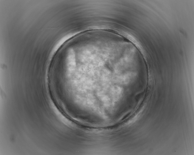 X0000090630803200708071244