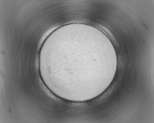 X0000090630804200708071244