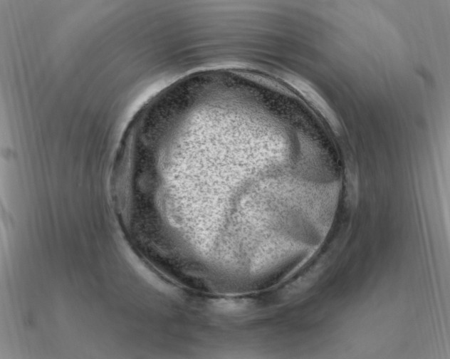 X0000090630805200708071244