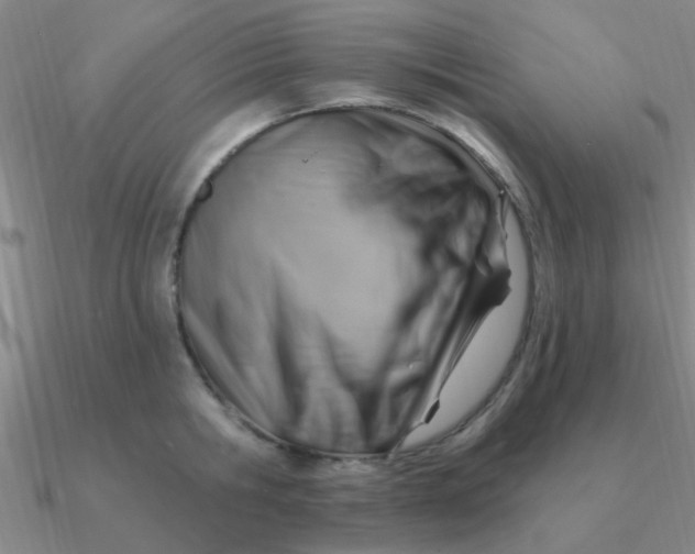 X0000090630806200708071244