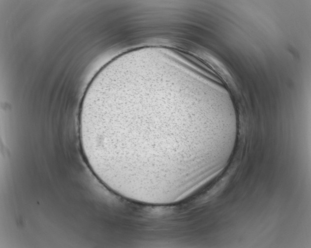 X0000090630808200708071244