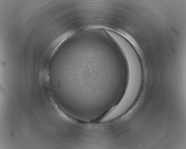 X0000090630809200708071244