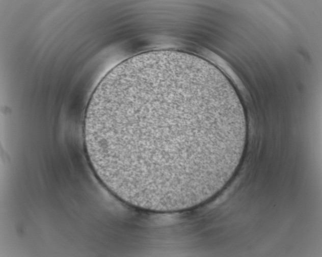 X0000090630810200708071244