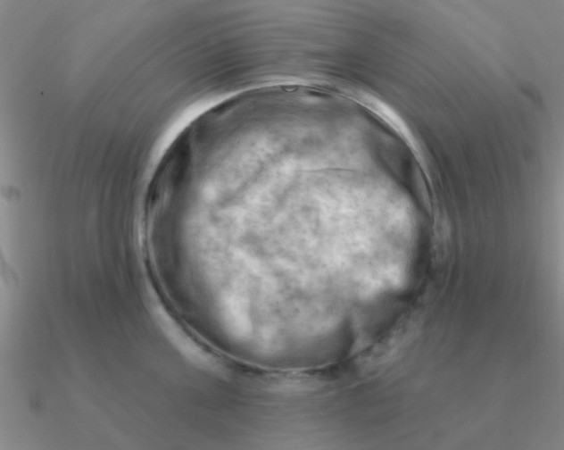 X0000090630811200708071244