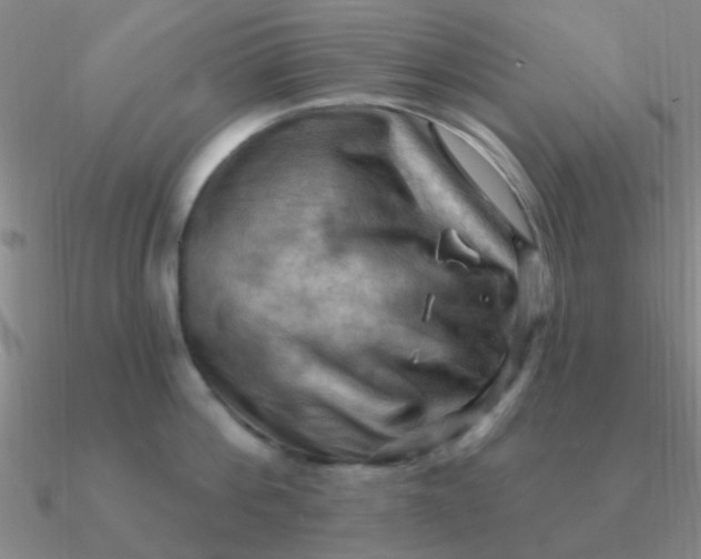 X0000090630812200708071244