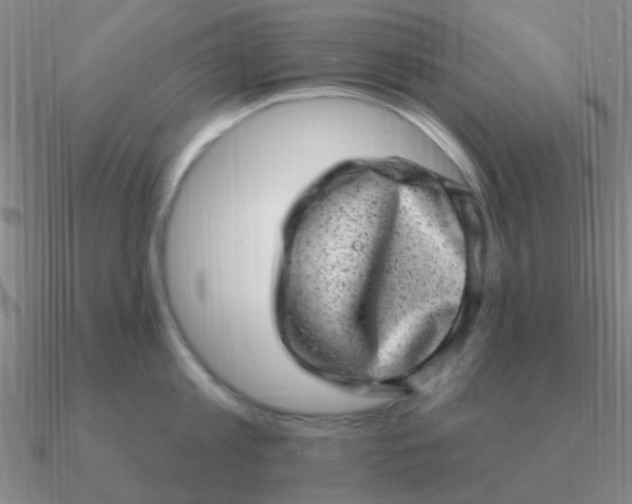 X0000090630813200708071244