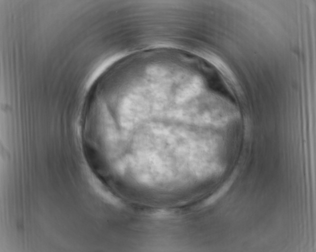 X0000090630814200708071244